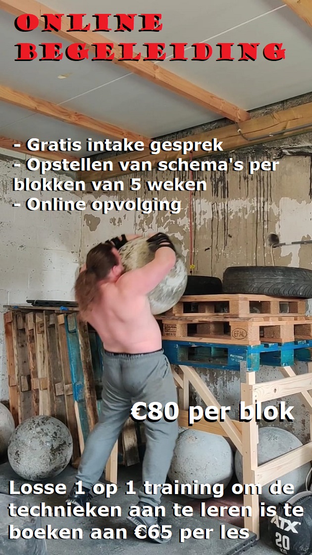 online begeleiding