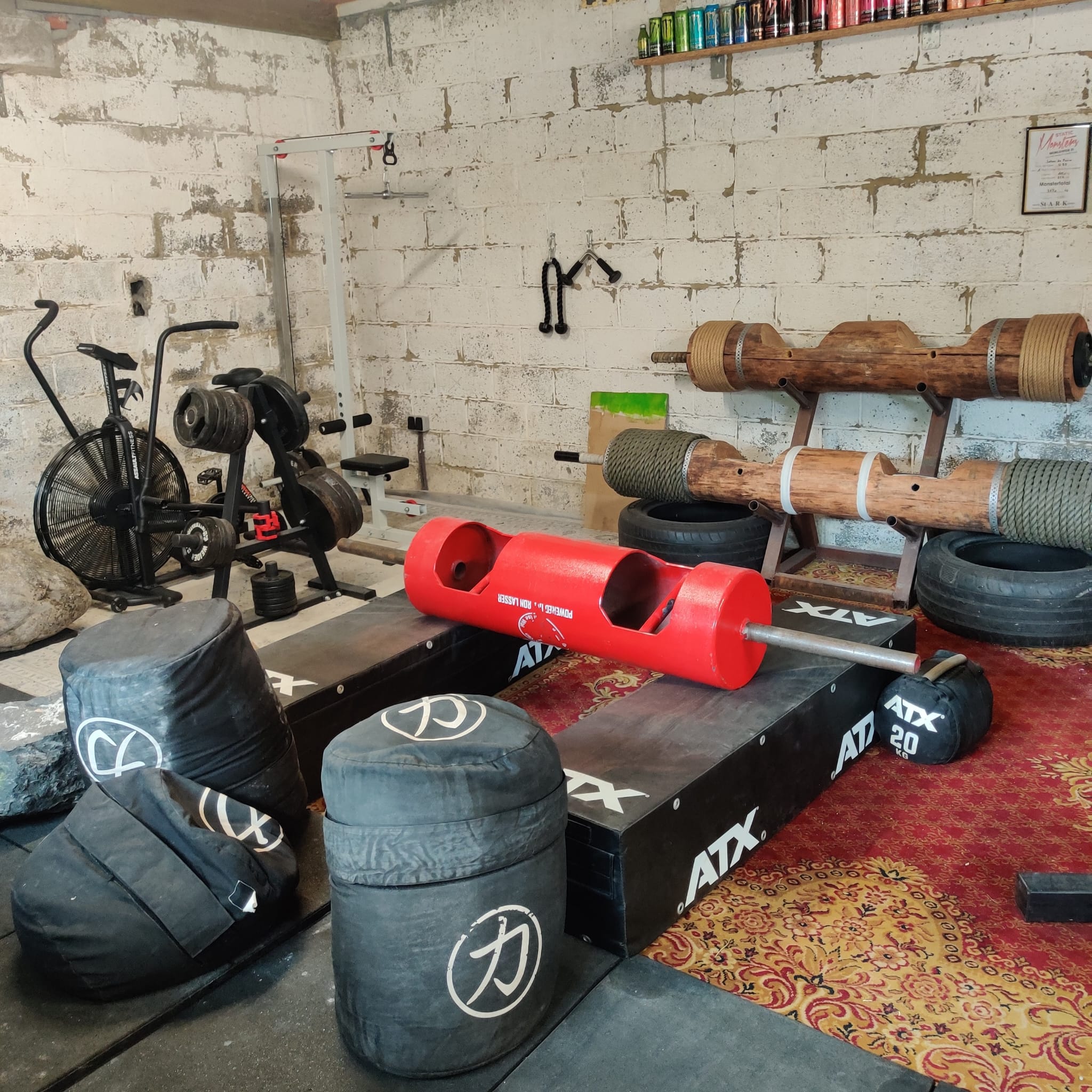 gym borsbeke
